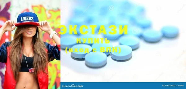 ECSTASY Богородицк