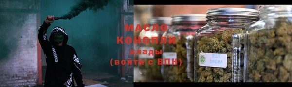 ECSTASY Богородицк
