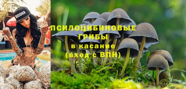 героин Богданович