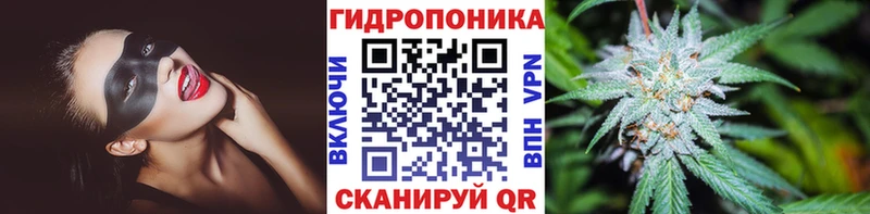 где купить   мега ТОР  МАРИХУАНА индика  Кологрив 